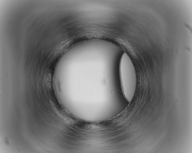 X0000095950498200801110918
