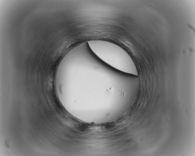X0000095950499200801110918