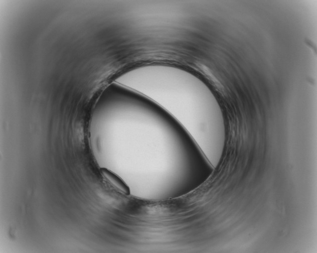 X0000095950500200801110918