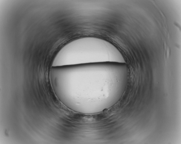 X0000095950502200801110918