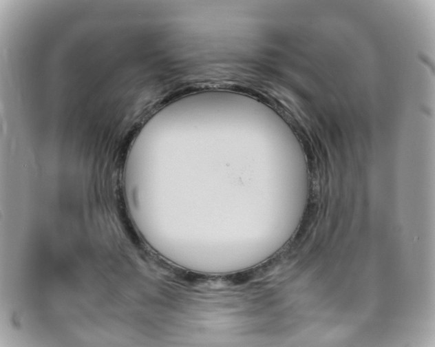 X0000095950503200801110918