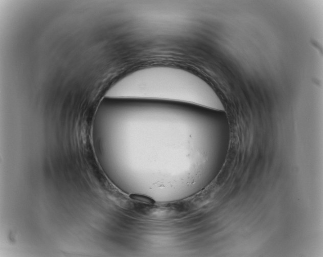 X0000095950504200801110918