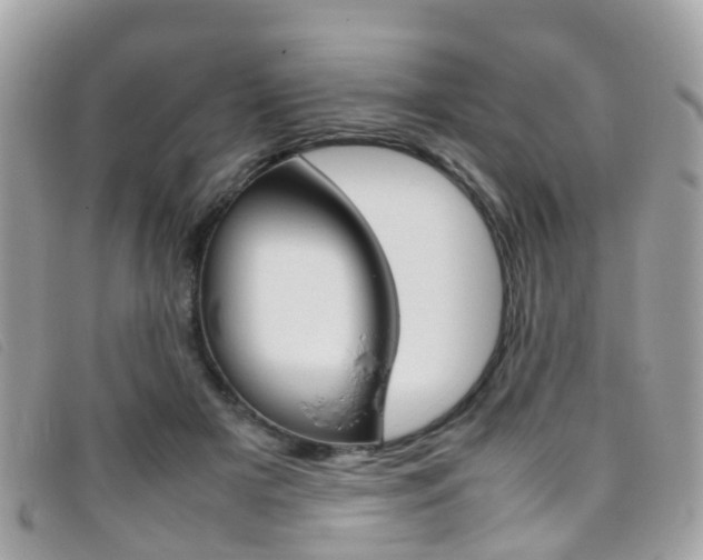 X0000095950505200801110918