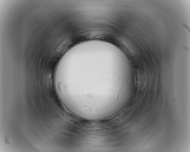 X0000095950506200801110918