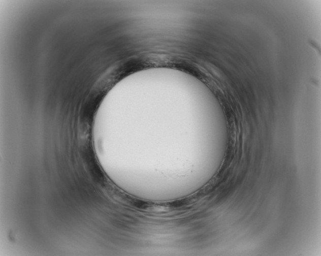 X0000095950507200801110918