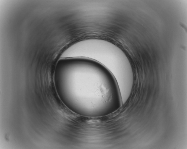 X0000095950508200801110918