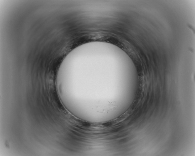 X0000095950510200801110918