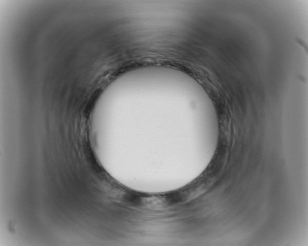 X0000095950511200801110918