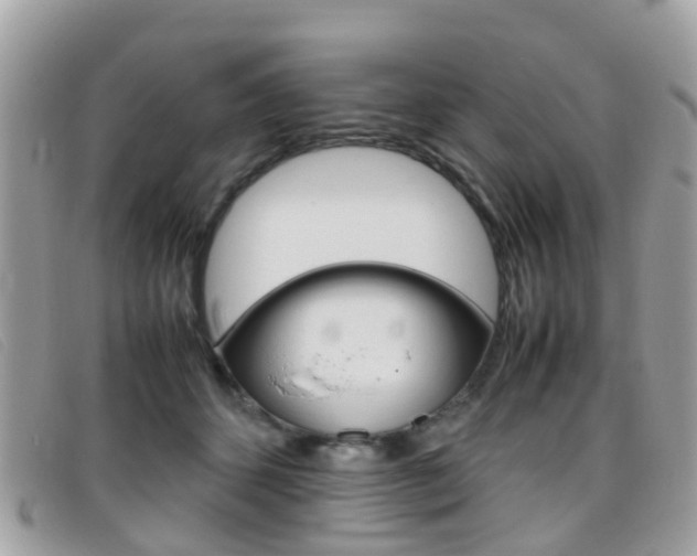 X0000095950512200801110918