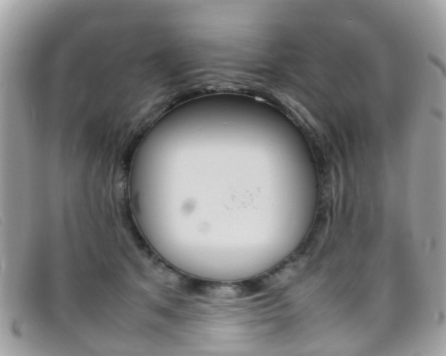 X0000095950513200801110918