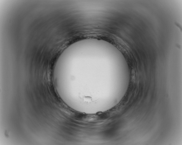 X0000095950514200801110918