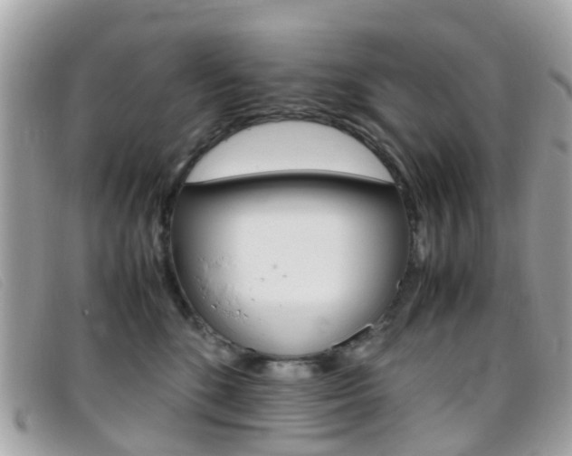 X0000095950520200801110918