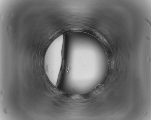 X0000095950521200801110918