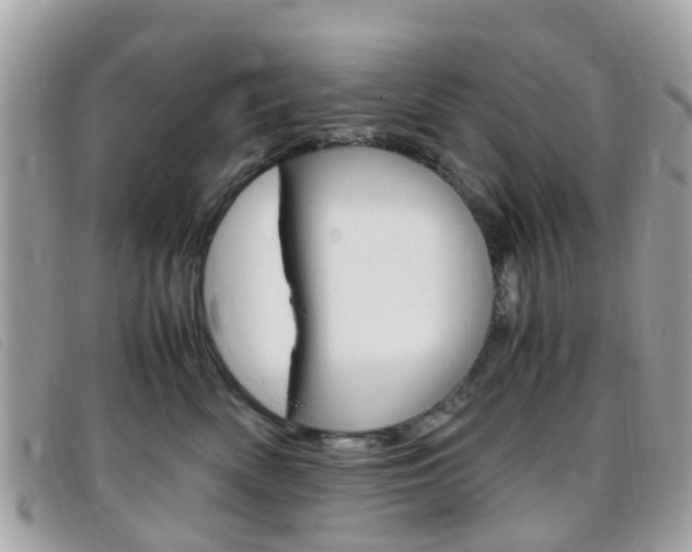 X0000095950522200801110918