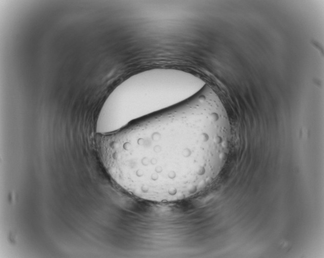 X0000095950523200801110918