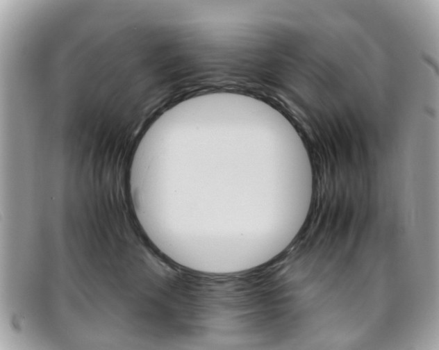 X0000095950524200801110918
