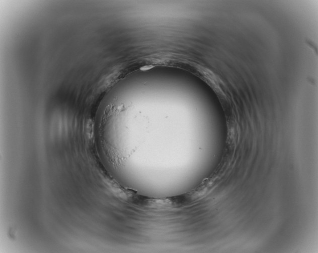 X0000095950525200801110918