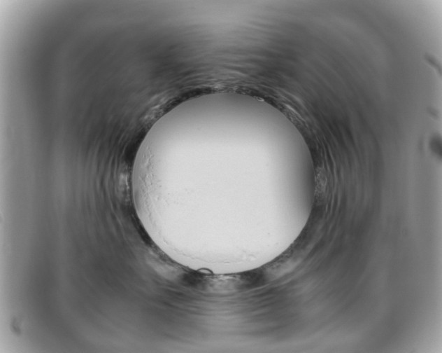 X0000095950527200801110918