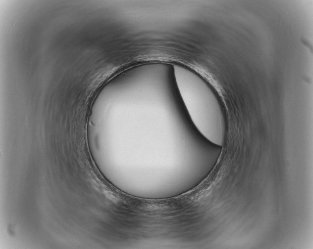 X0000095950529200801110917