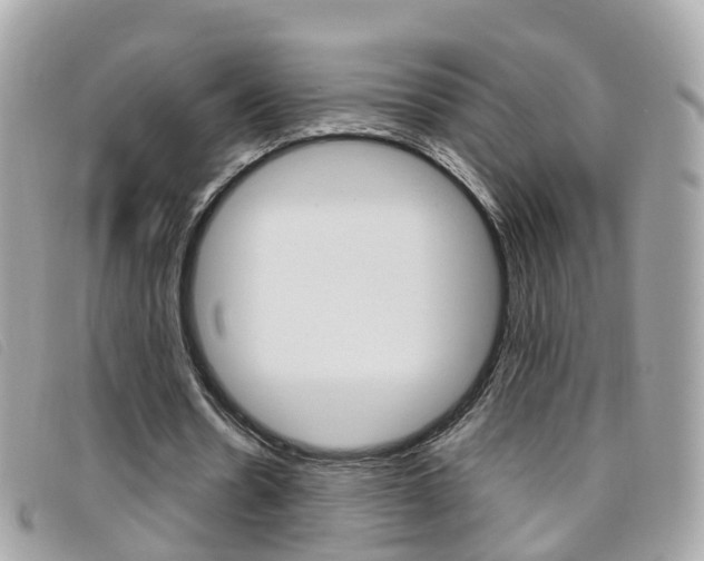 X0000095950530200801110917