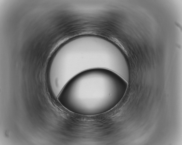 X0000095950531200801110917