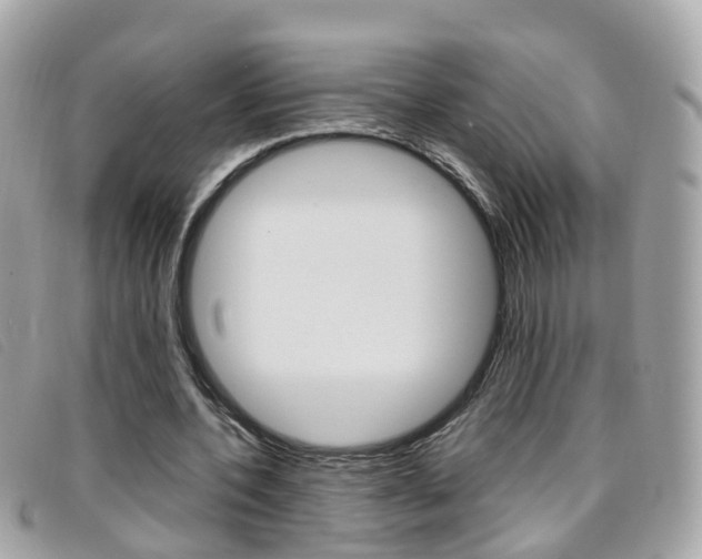 X0000095950532200801110917
