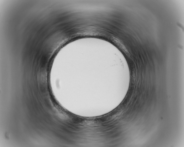 X0000095950534200801110917