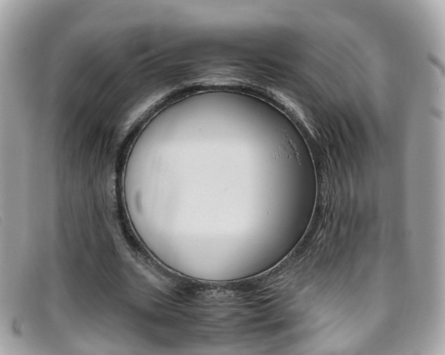 X0000095950535200801110917