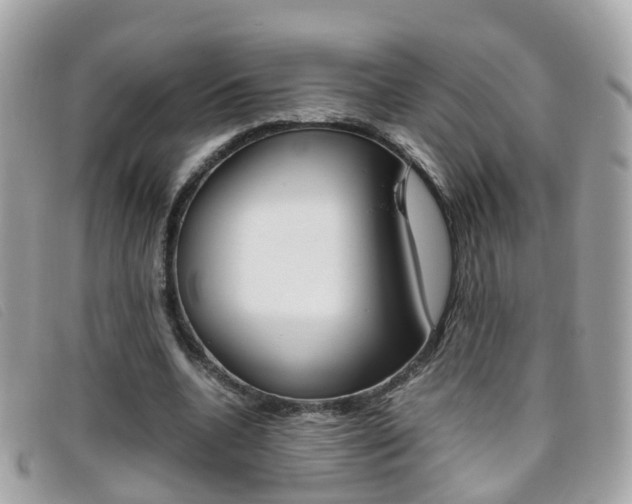 X0000095950536200801110917