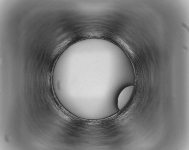 X0000095950537200801110917