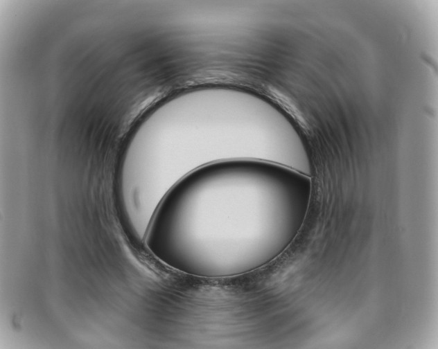 X0000095950538200801110917