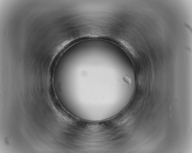 X0000095950540200801110917