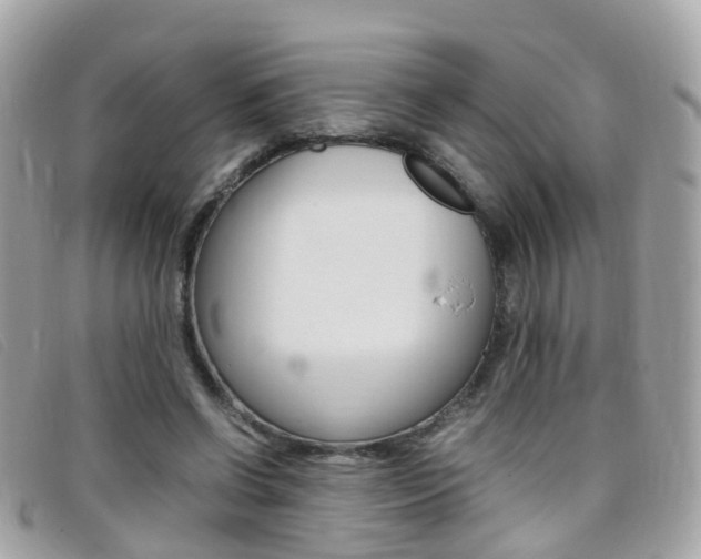 X0000095950542200801110917