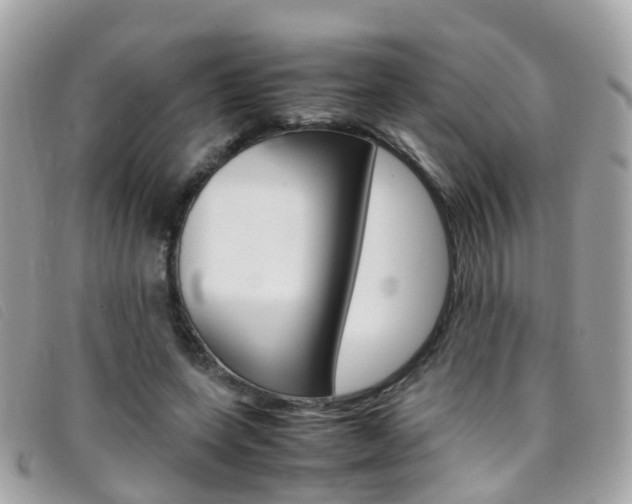 X0000095950543200801110918