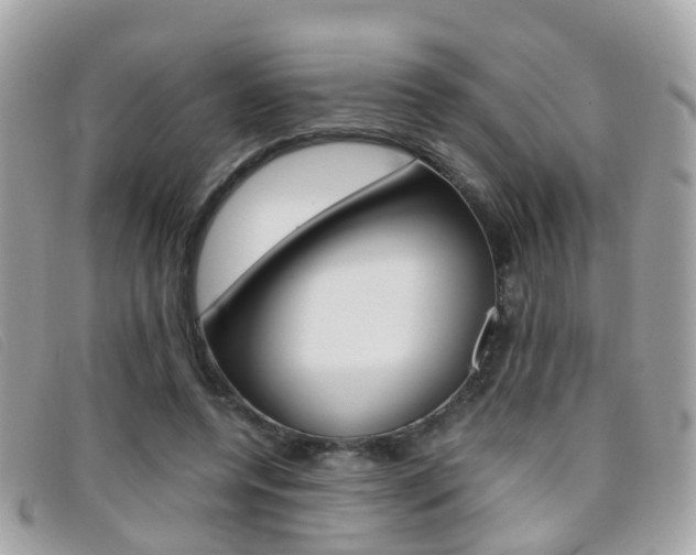 X0000095950544200801110918