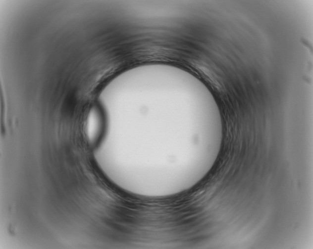 X0000095950547200801110918