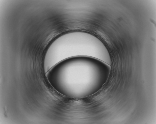 X0000095950548200801110918
