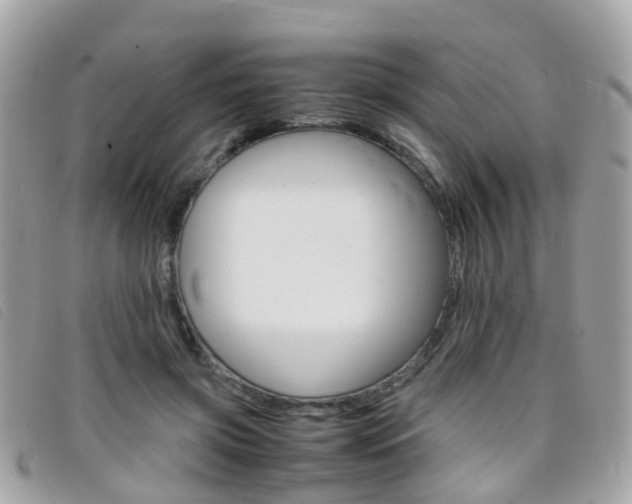 X0000095950549200801110918