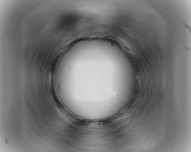X0000095950550200801110918