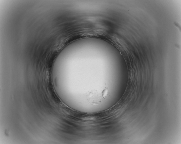 X0000095950551200801110918