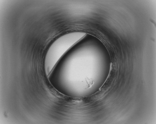 X0000095950552200801110918