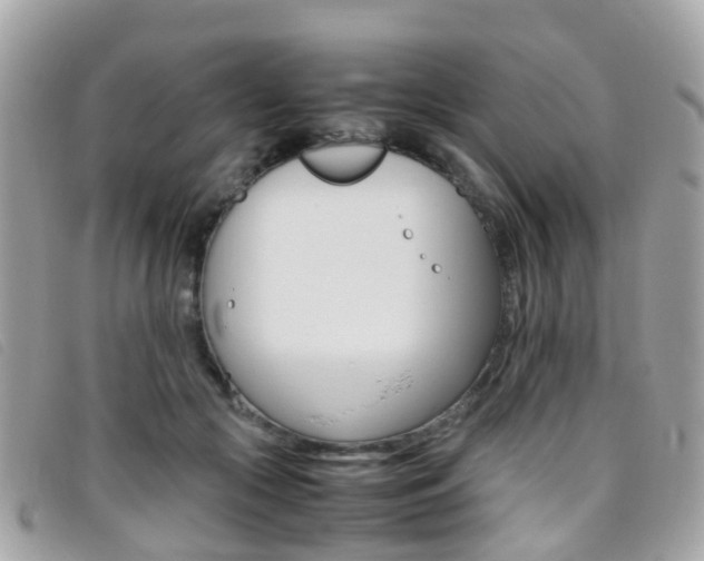 X0000095950553200801110918