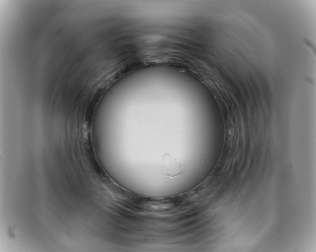 X0000095950555200801110918