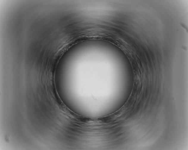 X0000095950556200801110918