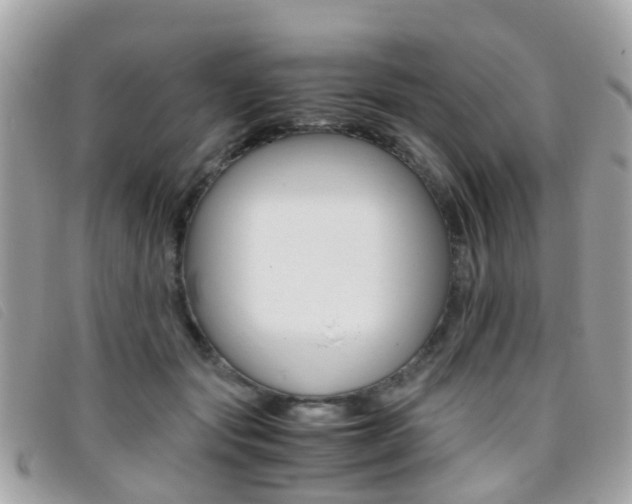 X0000095950557200801110918