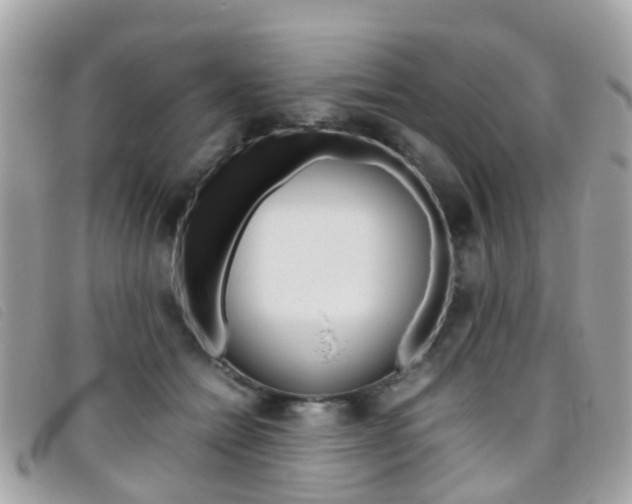 X0000095950558200801110918