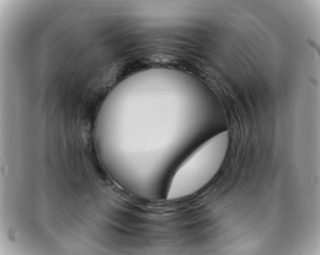 X0000095950559200801110918