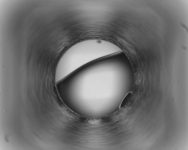 X0000095950560200801110918