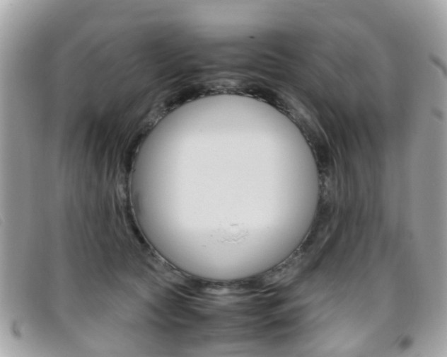 X0000095950561200801110918