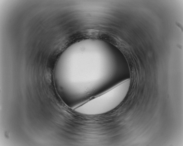 X0000095950562200801110918